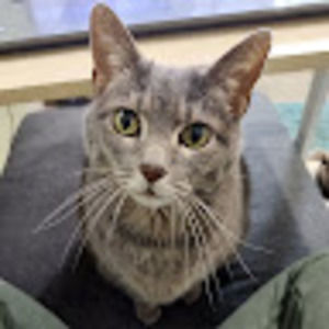 Meet your Posher, Caitlin